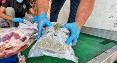 Karkas et yüklü kamyonda 77 kilogram esrar ele geçirildi