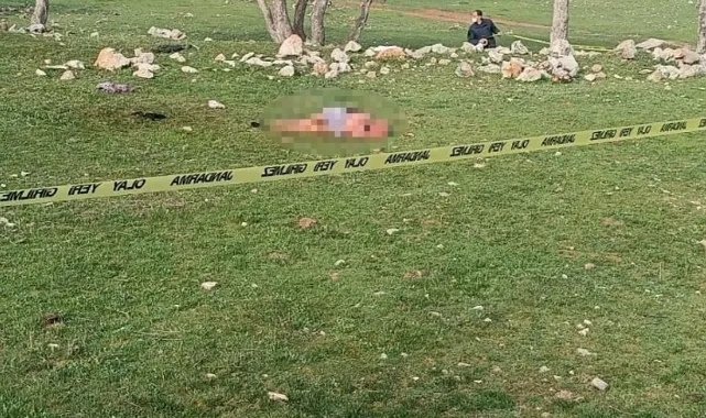 Köpeklerin Saldırdığı Yaşlı Kadın Öldü!