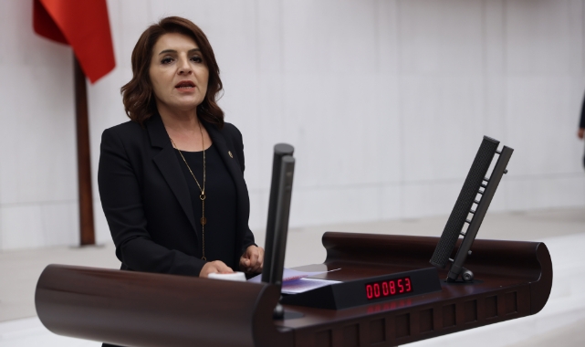 CHP'li Kış, Mersin’in Deprem Riskine Dikkat Çekti:''​​​​​​​Acil Önlemler Alınmalı''