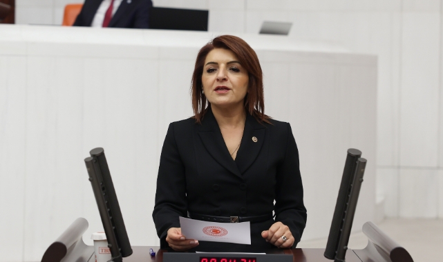 CHP'li Kış:''Mersin, İktidarın İhmali Altında Eziliyor''