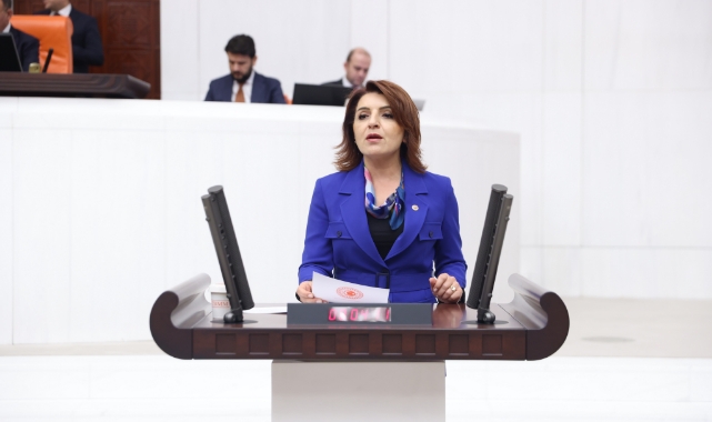 CHP'li Kış'tan Bolu’daki Yangın İçin Bakanlığa Sert Tepki:''İhmaller Zinciri Ortaya Çıkmalı!”
