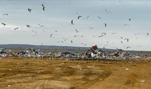 ASKİ'ye 5 Milyon 130 Bin 806 Lira Para Cezası