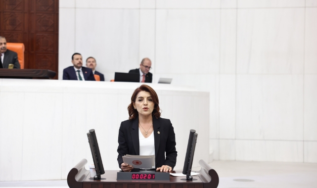 CHP'li Kış:''Halk Yoksullaşıyor, Saray İzliyor!''