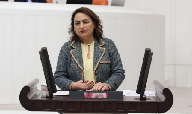Şevkin:''TÜBİTAK Siyasallaşıyor, KOSGEB’in İçi Boşaltılıyor''