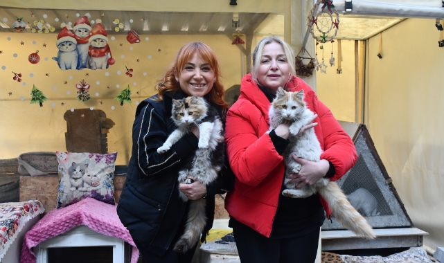 Site Bahçesindeki Barınakta 35 Kediye Bakıyorlar