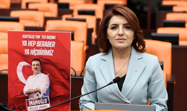 CHP’li Kış:''Hukuk İktidara Göre Şekillenemez''