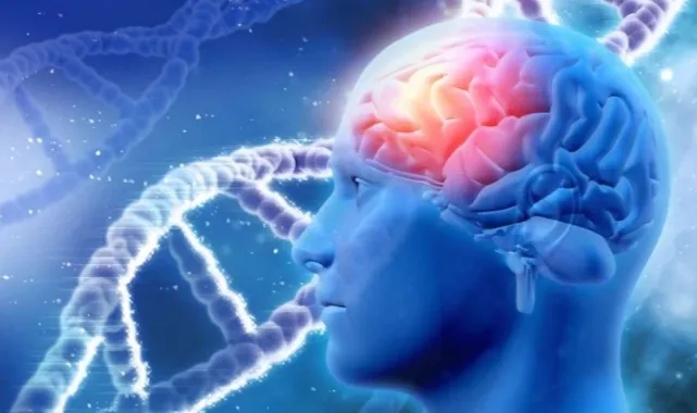 Epilepside Erken Teşhis Yaşam Kalitesini Artırıyor