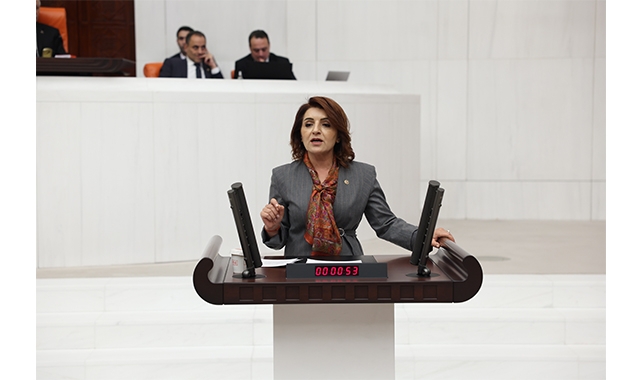 Gülcan Kış:''Aile Yılı Hatıra Değil, Yoksulluk Yılı Oldu!''