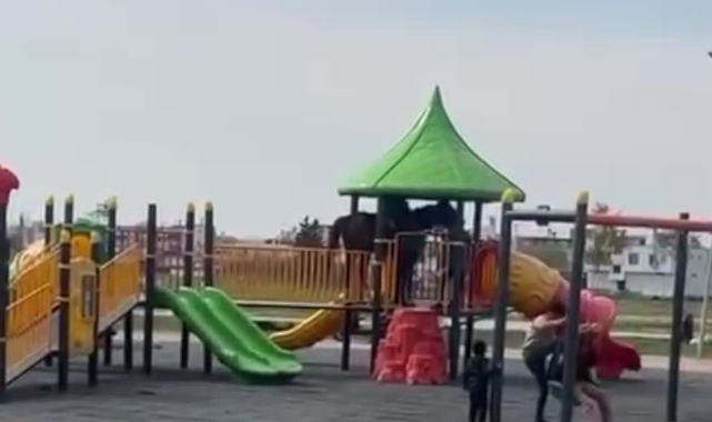 Oyun Parkına At Üstünde Gitti