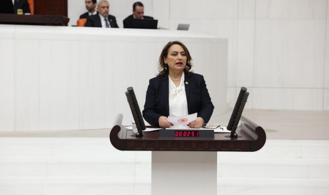 Şevkin''Türkiye’yi Tek Adamın Hırslarına Feda Etmeyin''