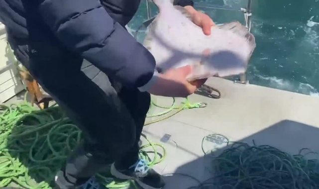 500 Metre Kalkan Ağı Ele Geçirildi