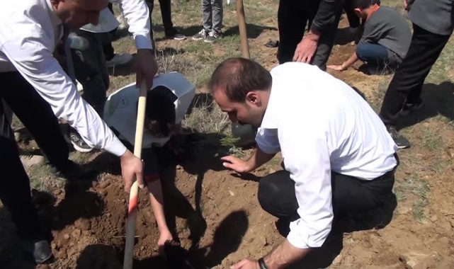 Gemerek'te 2 Bin 500 Fidan Dikildi