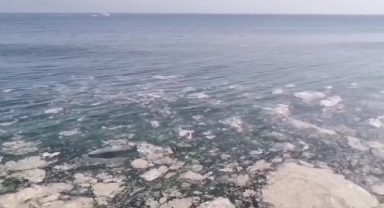 Mudanya Kıyılarında Müsilaj Görüldü