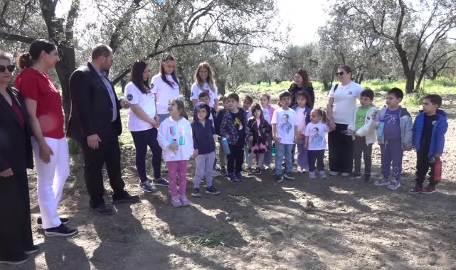 Öğrenciler Zeytin Fidanlarını Toprakla Buluşturdu