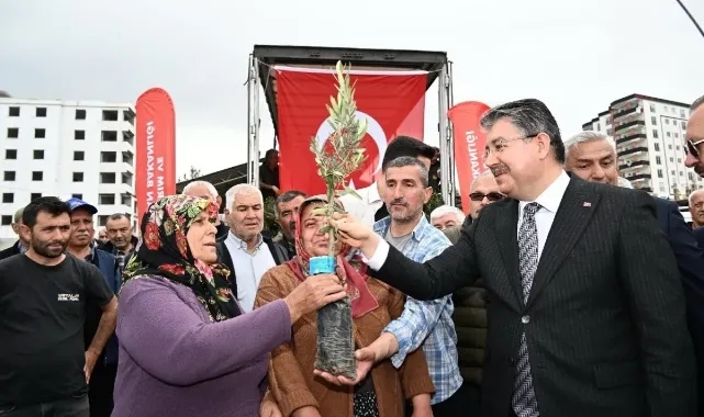 Üreticilere 11 Bin 500 Zeytin Fidanı Dağıtıldı