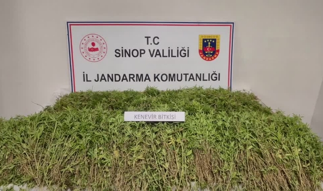 Sinop’ta Uyuşturucu Operasyonu:2 Gözaltı