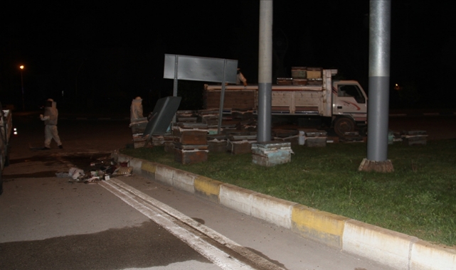 Arı Kovanı Yüklü Kamyonet Devrildi