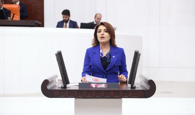 CHP'li Kış'tan Sert Tepki:''Saray'ın Duvarları Kalın, Cevapları Kapalı!''