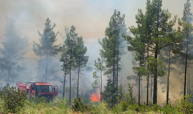 Mersin'de Orman Yangını