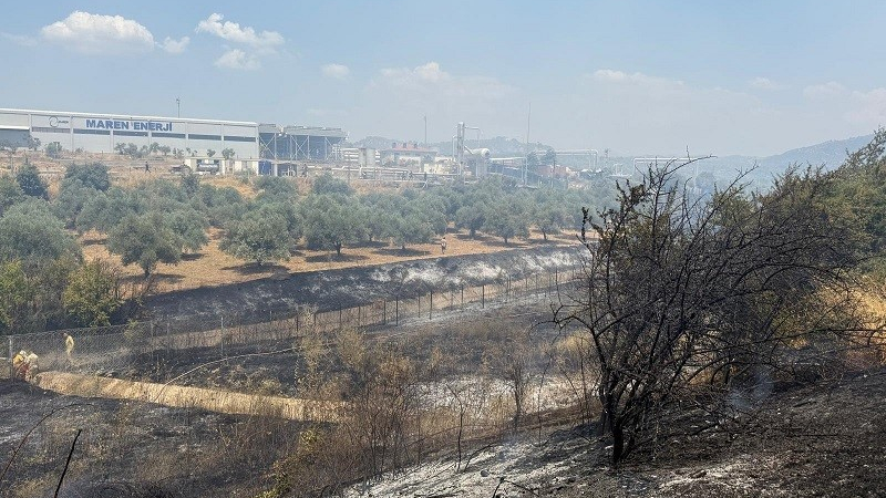 Çift Sürülen Tarla Yangında Zarar Görmedi