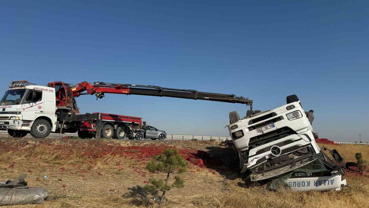 20 Ton Salçalık Biber Ziyan Oldu