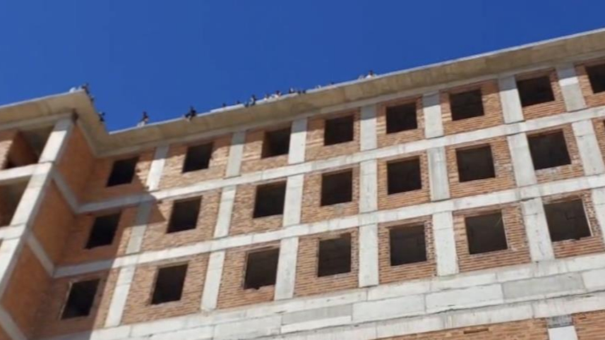 İşçilerin Maaş İsyanı:Toplu İntihara Kalkıştılar