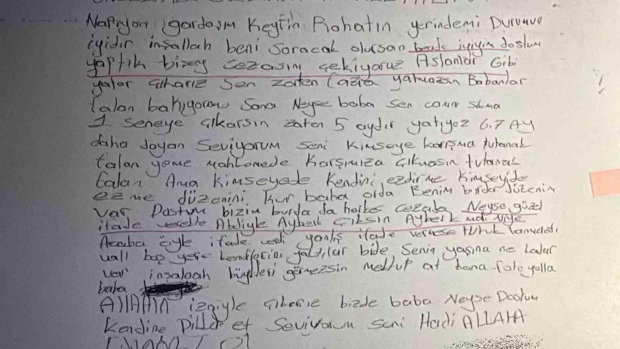 "Aslanlar Gibi Yatar Çıkarız"