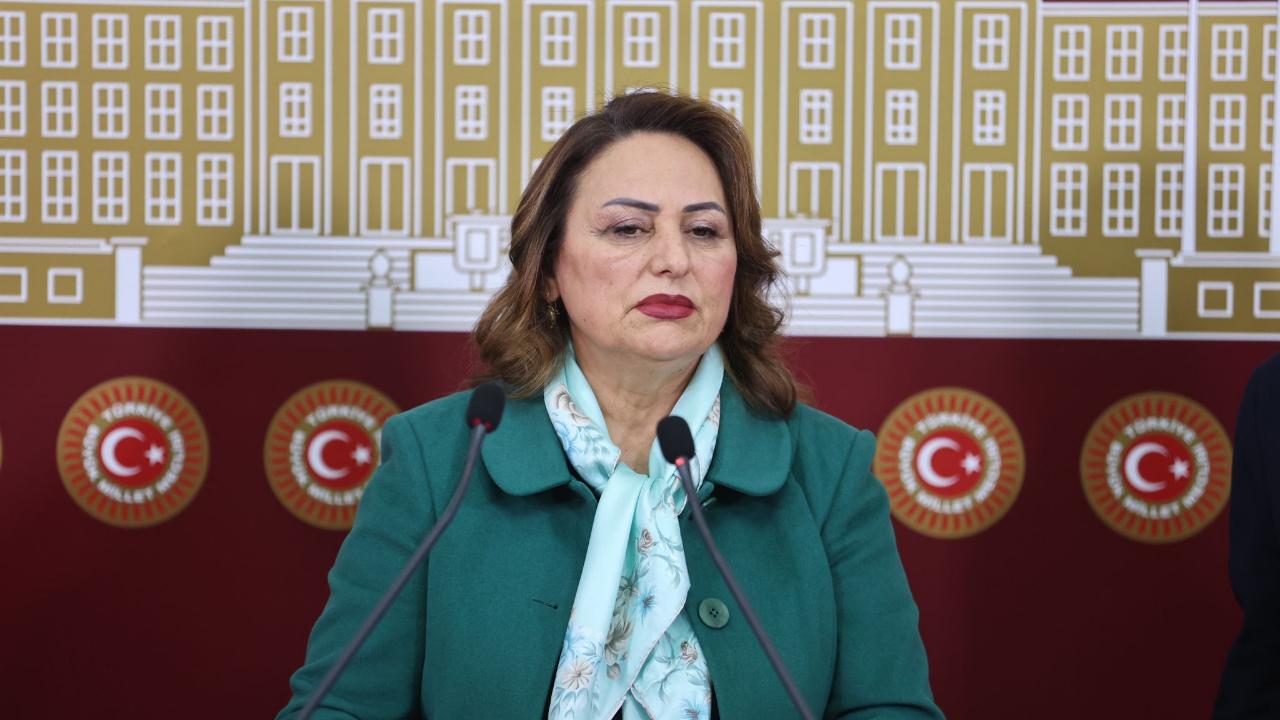 Şevkin:“7 Bin Jeoloji ve Jeofizik Mühendisi İşsiz Kalabilir”