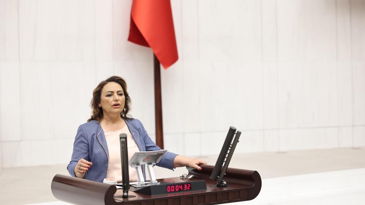 CHP’li Dr. Şevkin’den Emeklilerin Bayram İkramiyesi İçin Kanun Teklifi