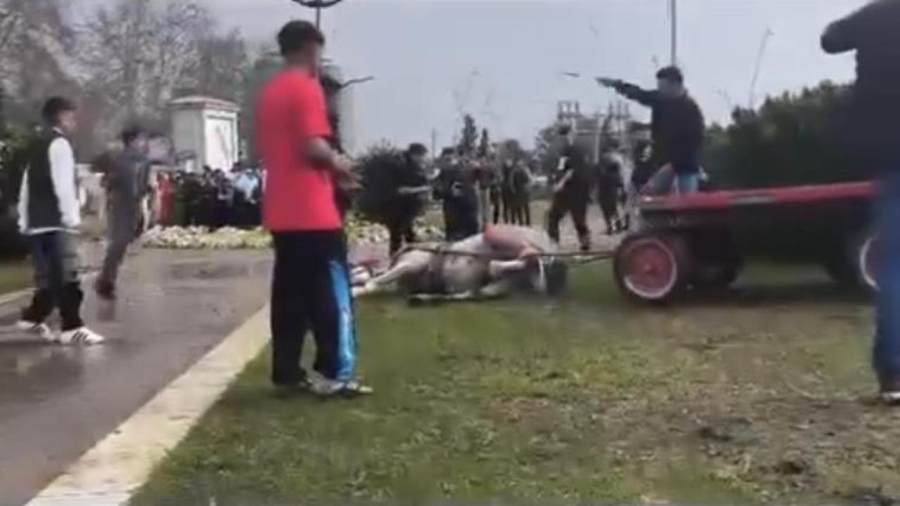 Ata İşkence!