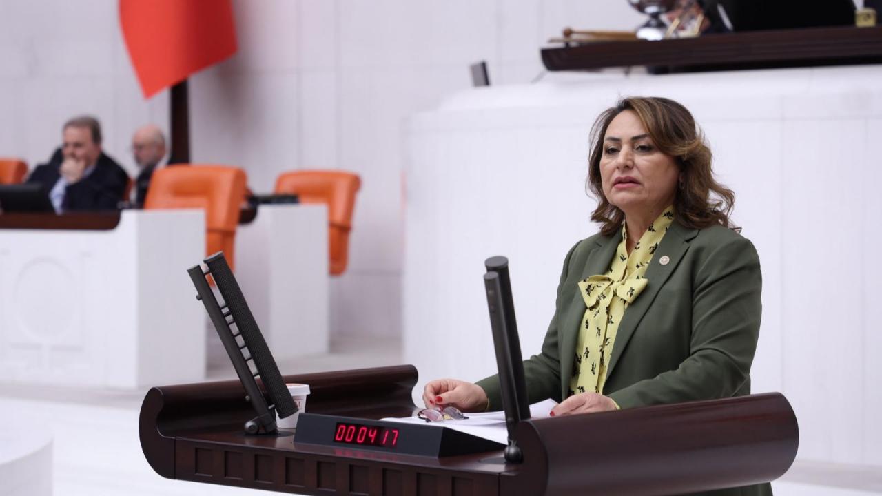 CHP'li Şevkin'den İçişleri Bakanı’na:''Zeydan Karalar Neden Görevine İade Edilmiyor''