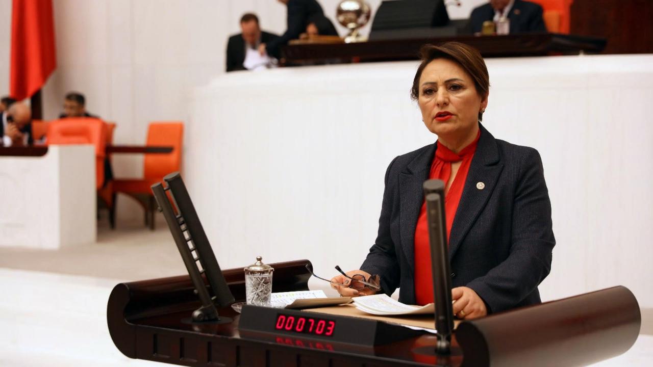 CHP'li Şevkin'den ''Kadın Cinayetleri''ne Yönelik Araştırma Önergesi