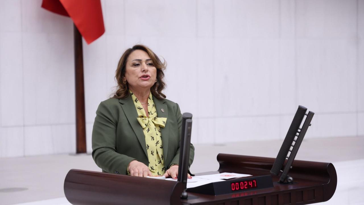 Diş Hekimleri’nin İstihdam Krizi Mecliste