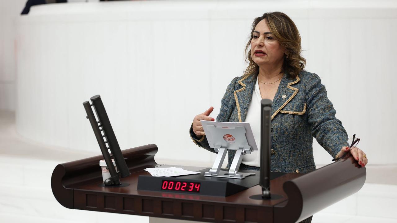 CHP'li Şevkin'den Adana'nın İlçeleri İçin Araştırma ve Soru Önergesi