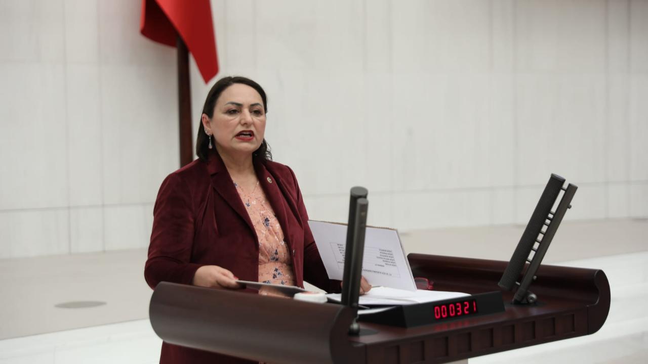 CHP'li Şevkin'den ''Eğitimde Şiddet Çıkışı:''Okullarda Güven Kalmadı!''
