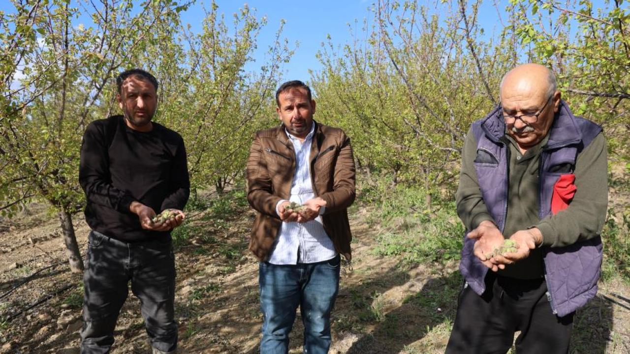 Otomatik Taslak