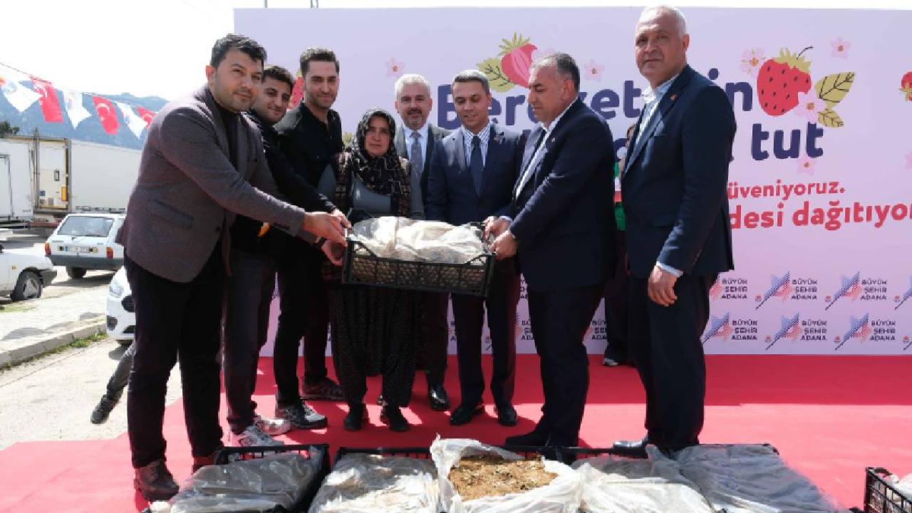 Otomatik Taslak