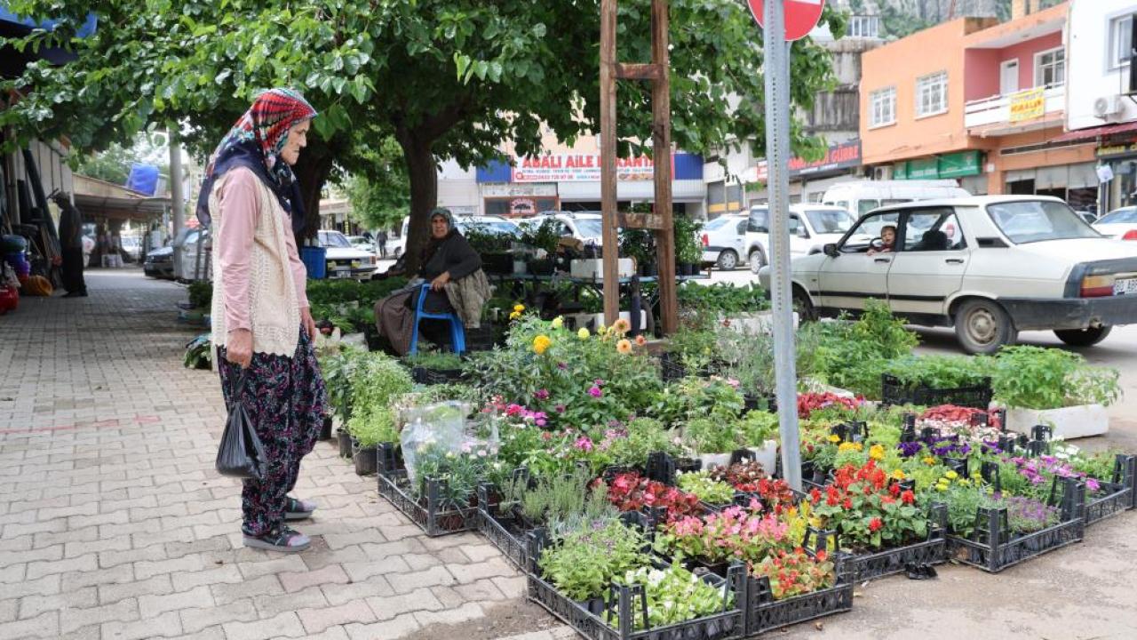 Ata Tohumu Fidelerine Yoğun Talep
