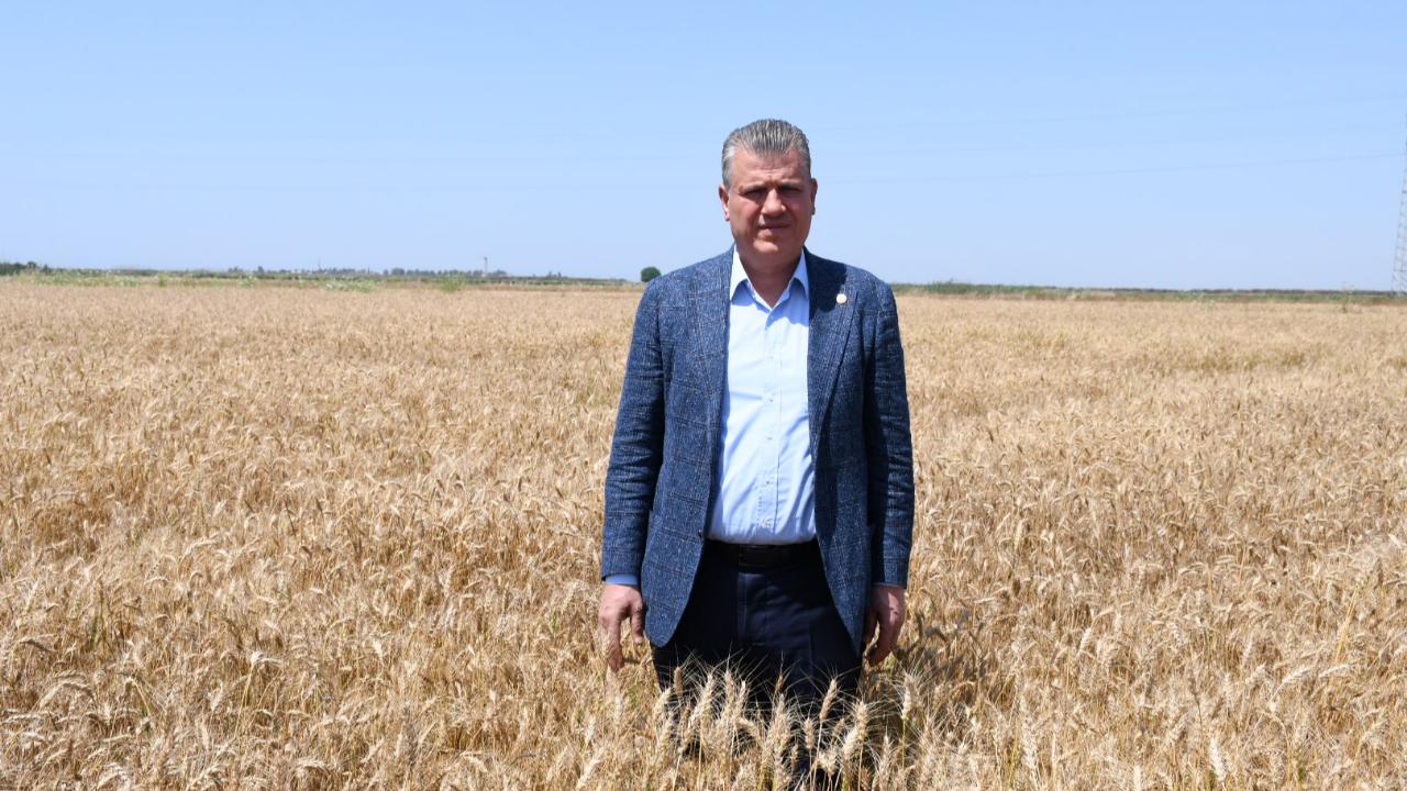 Barut:"Sarı Altında Alım Fiyatı Peşin 20 Lira Üstünde Olmalı"