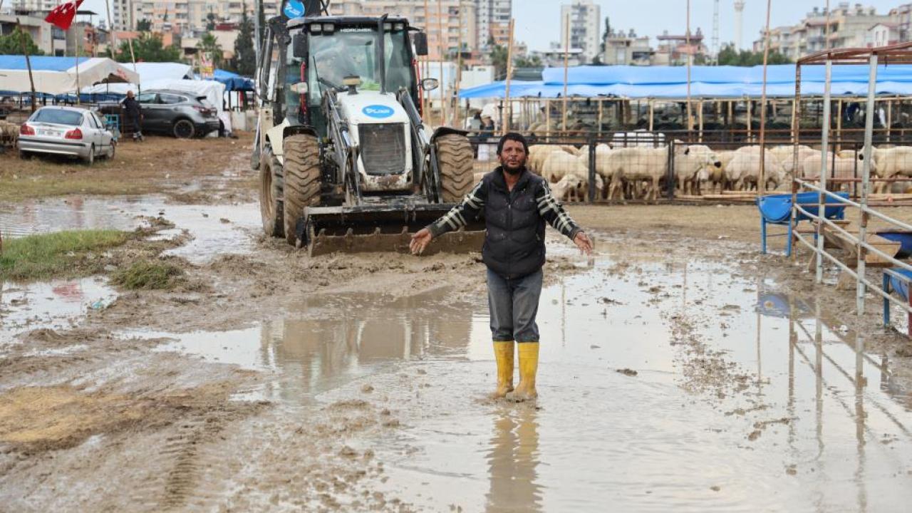Kurban Pazarları Su Altında:''Afrika'daki Pazarlarda Bu Görüntüyü Bulamazsın"