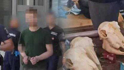 Avrupa'nın Göbeğinde Vahşet! İnsan Parçalarından Yemek Yapıp Yemiş