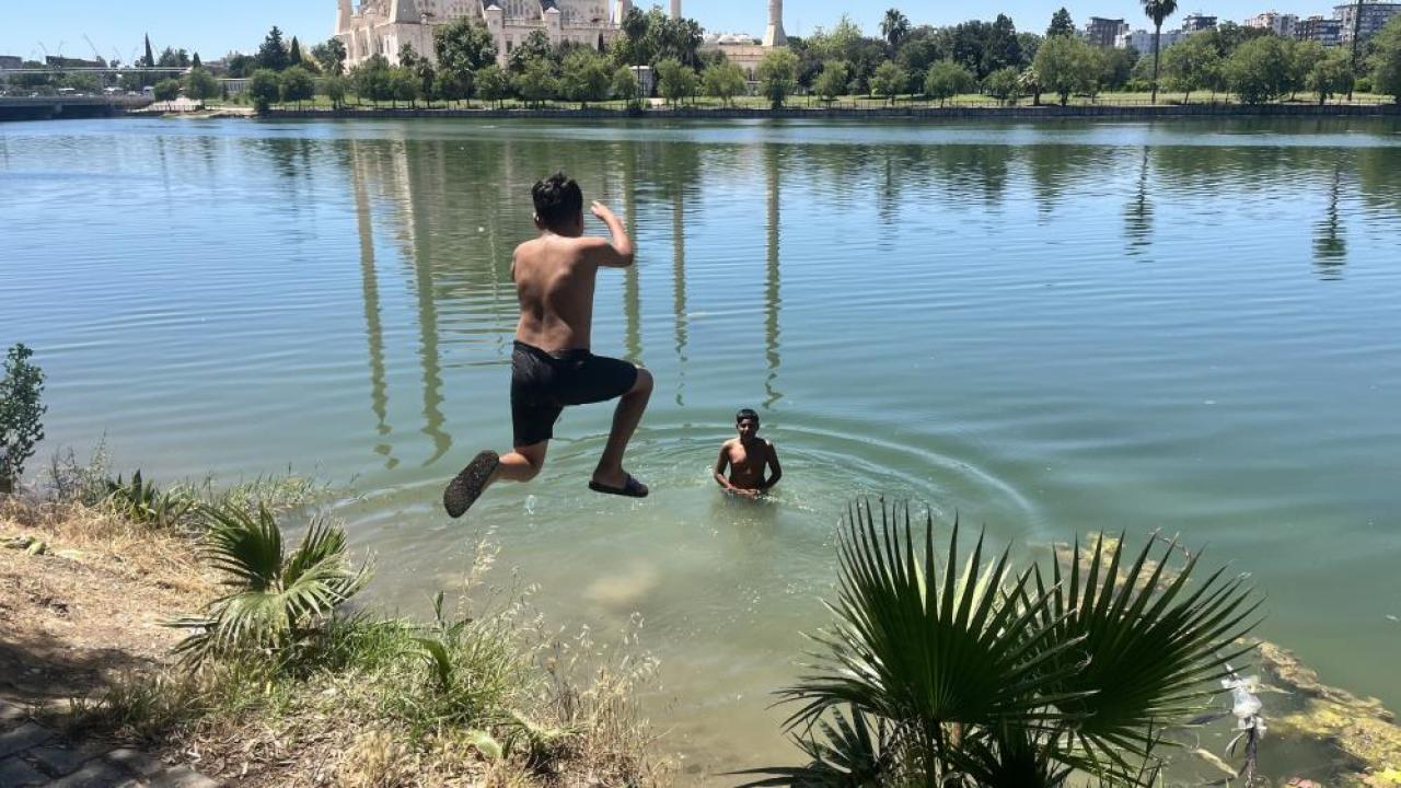 Canlarını Hiçe Sayarak Serinlemeye Çalışıyorlar
