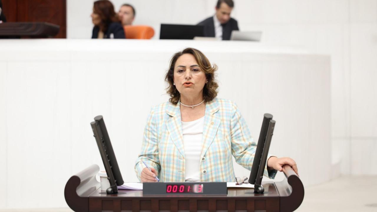 CHP'li Müzeyyen Şevkin: