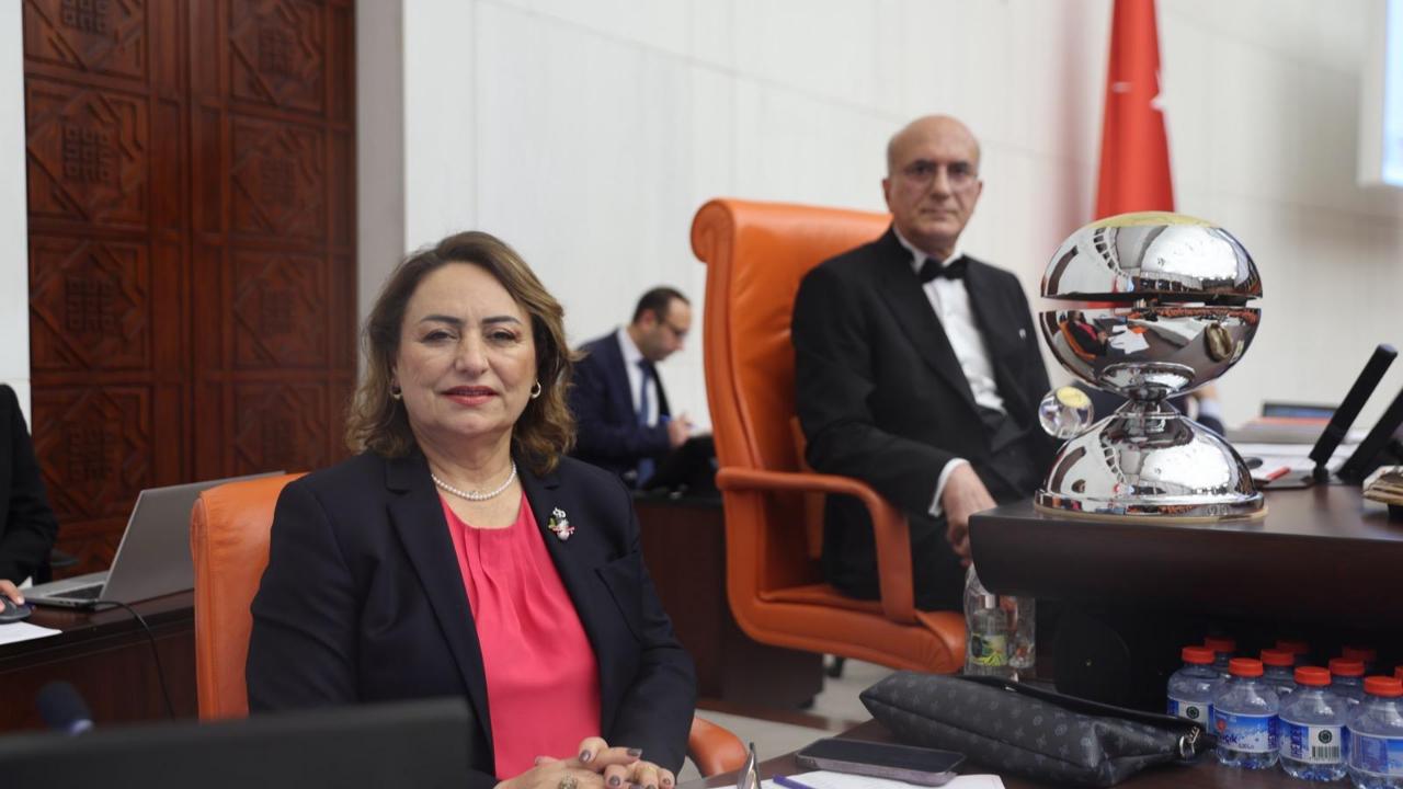CHP'li Şevkin'den''Çıplak Arama'' Çıkışı:''Utanç Vericidir!''