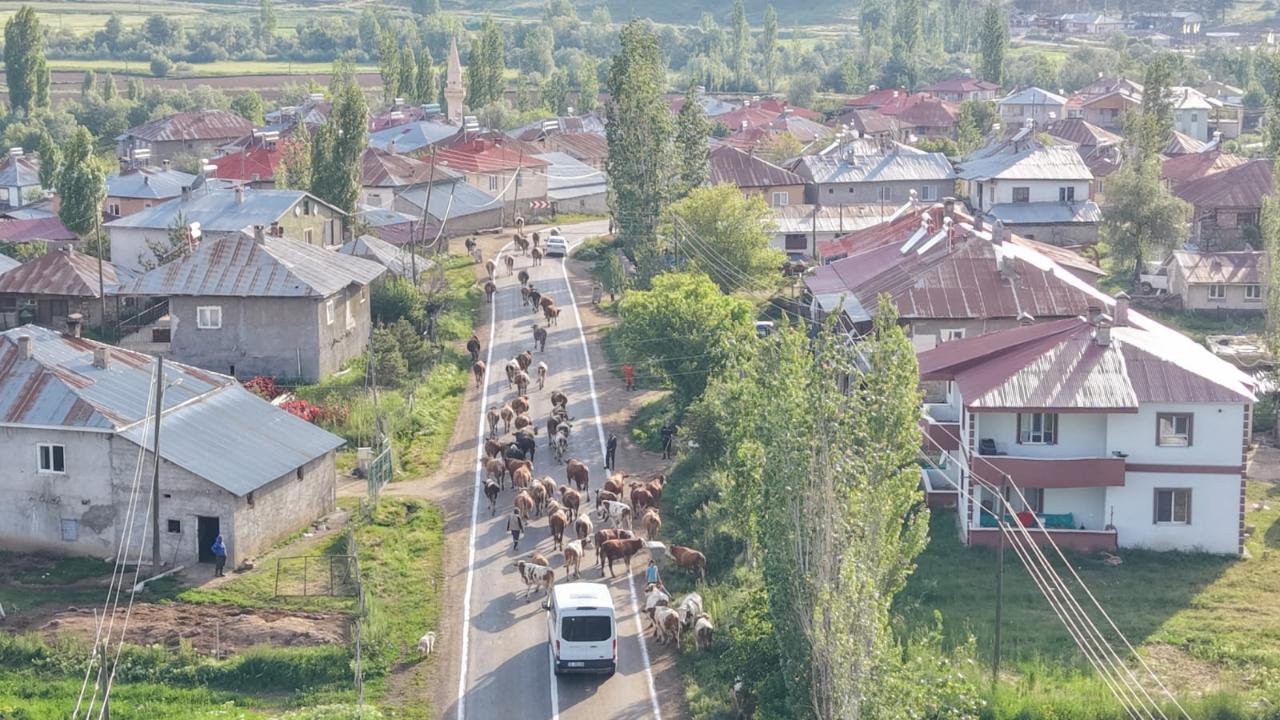 Köyün Ortasından Geçen Karayolu Trafiği Tehlikeye Atıyor
