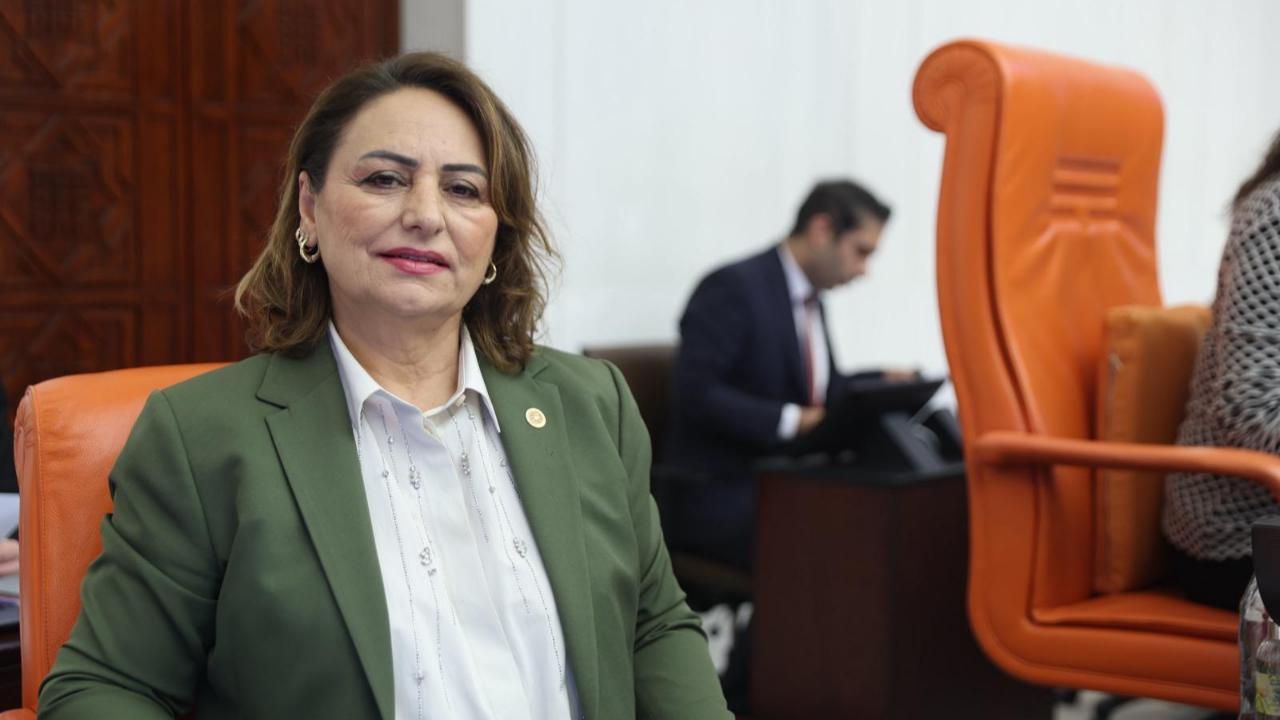 Milletvekili Şevkin, Öğretmenlerin Sorunlarını Meclise Taşıdı