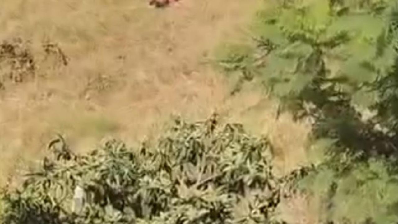 Sulama Kanalına Giren Çocuğa Şiddet