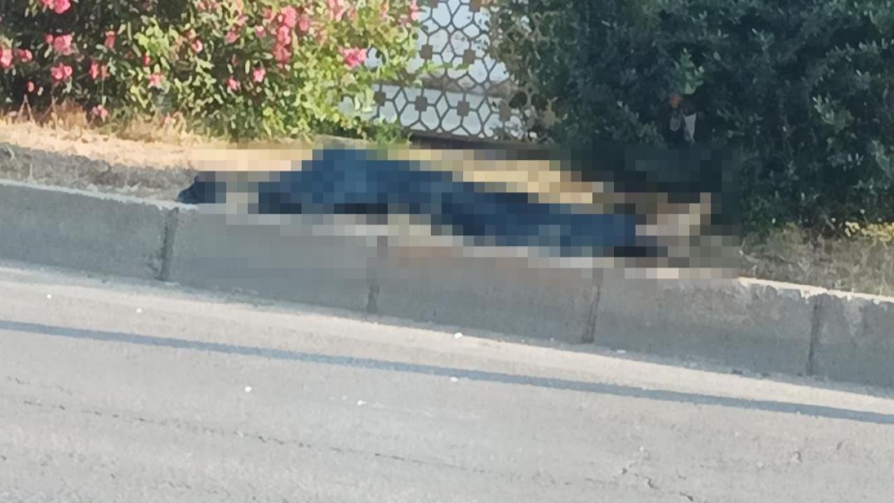 Yolun Karşısına Geçerken Minibüs Çarptı
