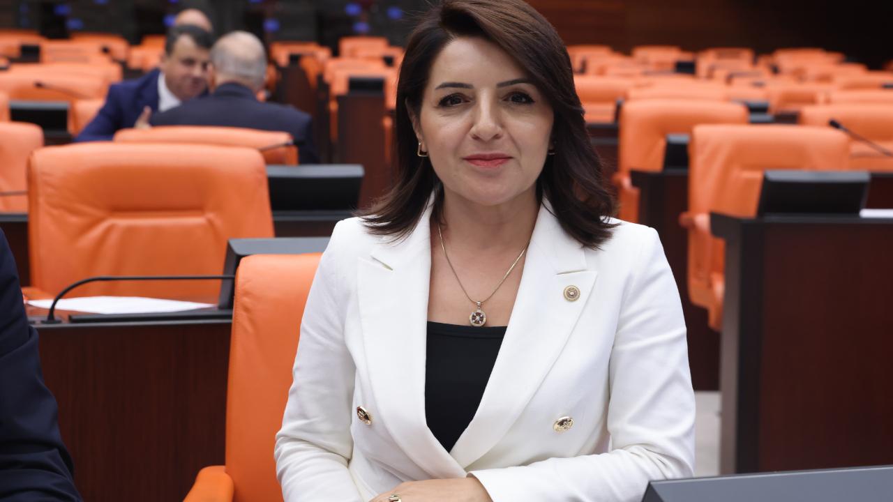 CHP'li Kış:''Mersin Avrupa'nın Çöplüğü Değildir!''