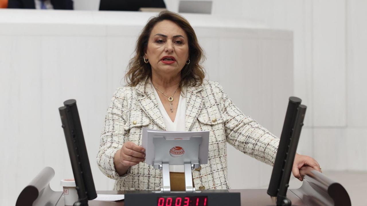 CHP'li Şevkin'den NATO Zirvesi Eleştirisi:''Güvenlik Gerekçesiyle Hukuk Devleti İlkesi Zedelenmemeli"